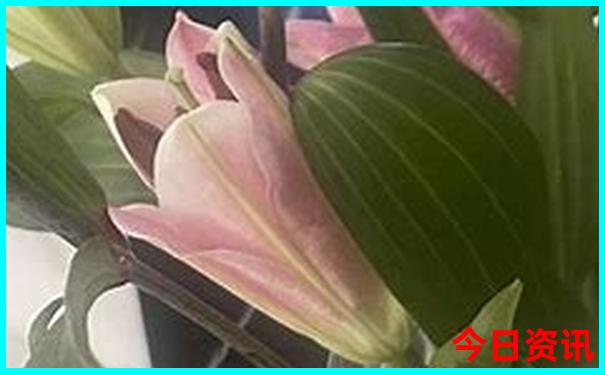 瑞丽必去的三个景点